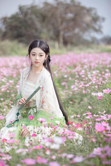 黄片,黄色片子